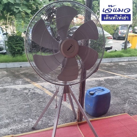 เช่าพัดลมอุตสหกรรมจัดงานรายวัน - เจ๊แมว เต็นท์เช่า บางเขน เช่าพัดลมอุตสหกรรมจัดงานรายวัน - เจ๊แมว เต็นท์เช่า บางเขน