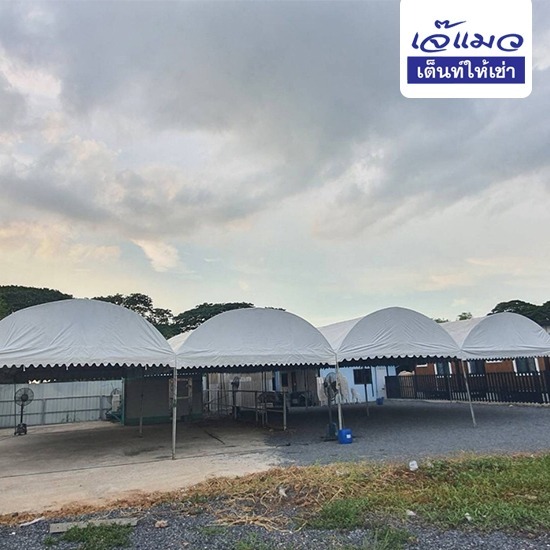 เต็นท์เช่ารายเดือนราคาถูก เต็นท์เช่ารายเดือนราคาถูก