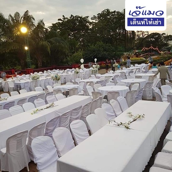 ให้เช่าโต๊ะเก้าอี้จัดงานเลี้ยง งานอีเว้นท์ - เจ๊แมว เต็นท์เช่า บางเขน ให้เช่าโต๊ะเก้าอี้จัดงานเลี้ยง งานอีเว้นท์ - เจ๊แมว เต็นท์เช่า บางเขน