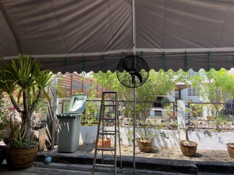 ให้เช่าเต็นท์พร้อมพัดลมแขวน