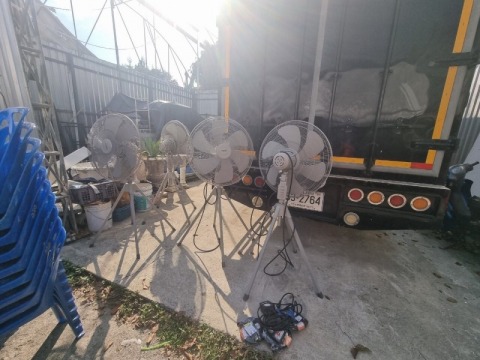 พัดลมสามขา